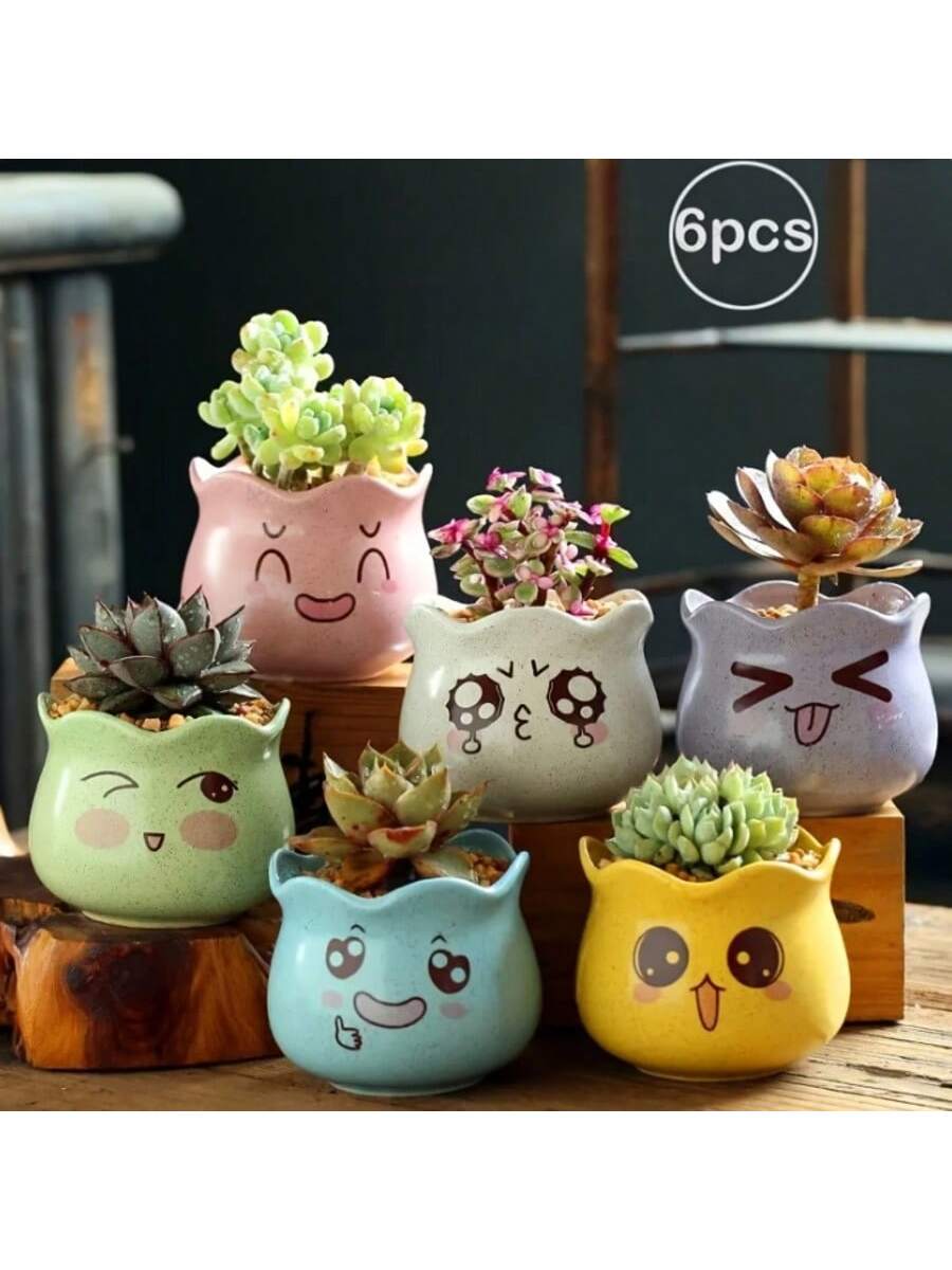 6 adet/takım Karikatür Sevimli - Echeveria Succulent incelemesi ve fiyatı
