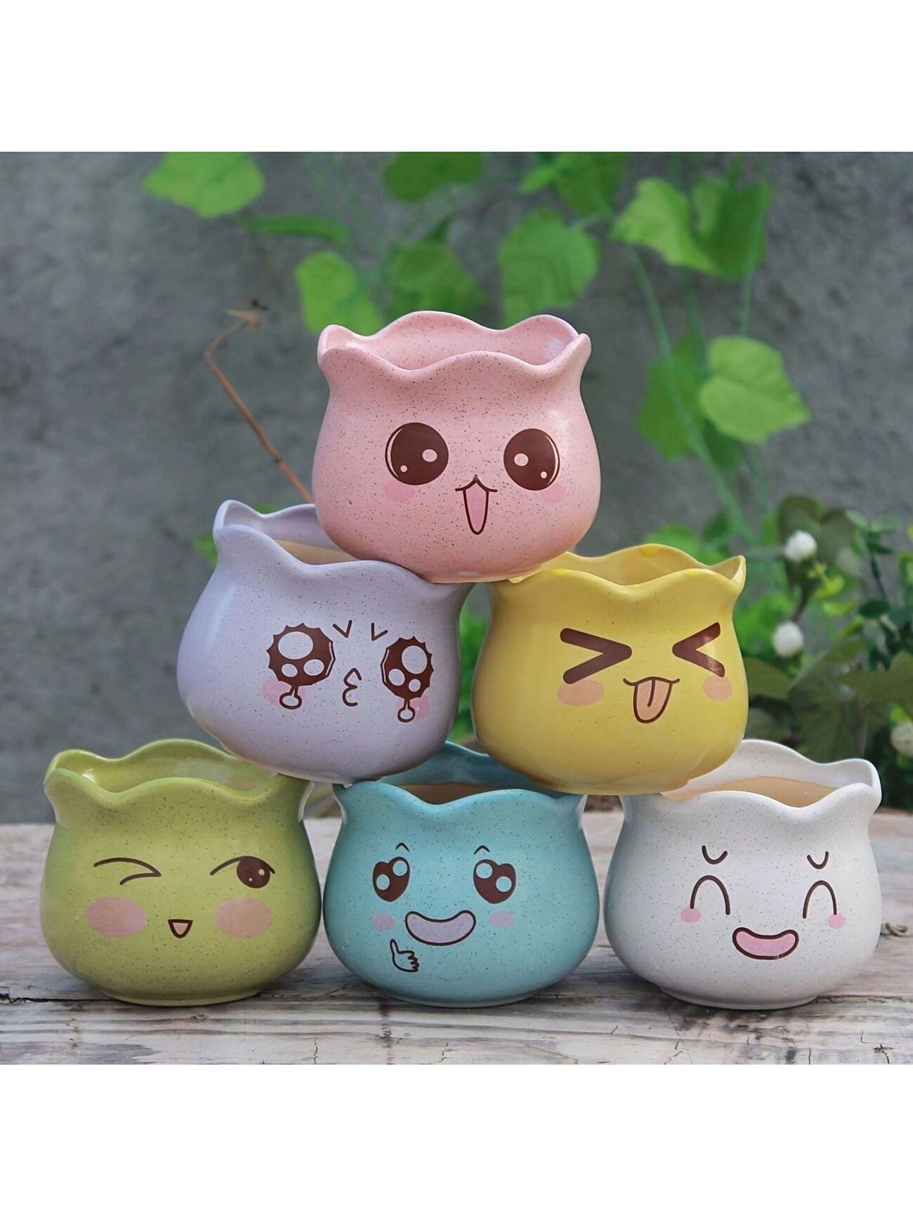 6 adet/takım Karikatür Sevimli - Echeveria Succulent incelemesi ve fiyatı