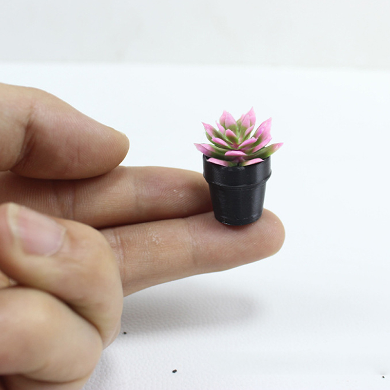 8 Adet Minyatür Plastik Saksıl - Echeveria Succulent incelemesi ve fiyatı